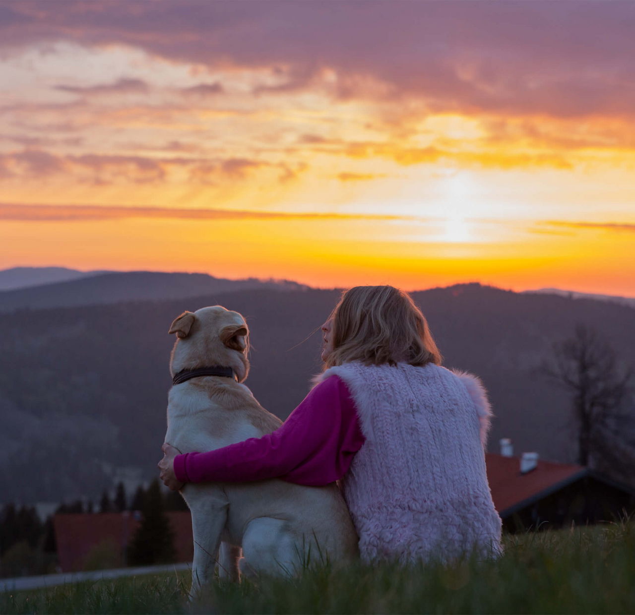 Ausblick vom Hundehotel im Bayerischen Wald