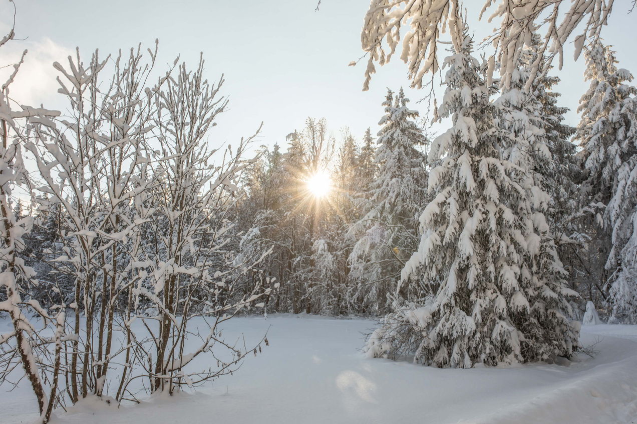 Sonnenstrahlen bei der Winterwanderung durch den Winterwald