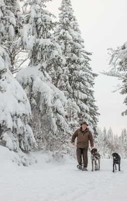 Bild zum Artikel: Schneeschuhwandern mit Hund in Bayern