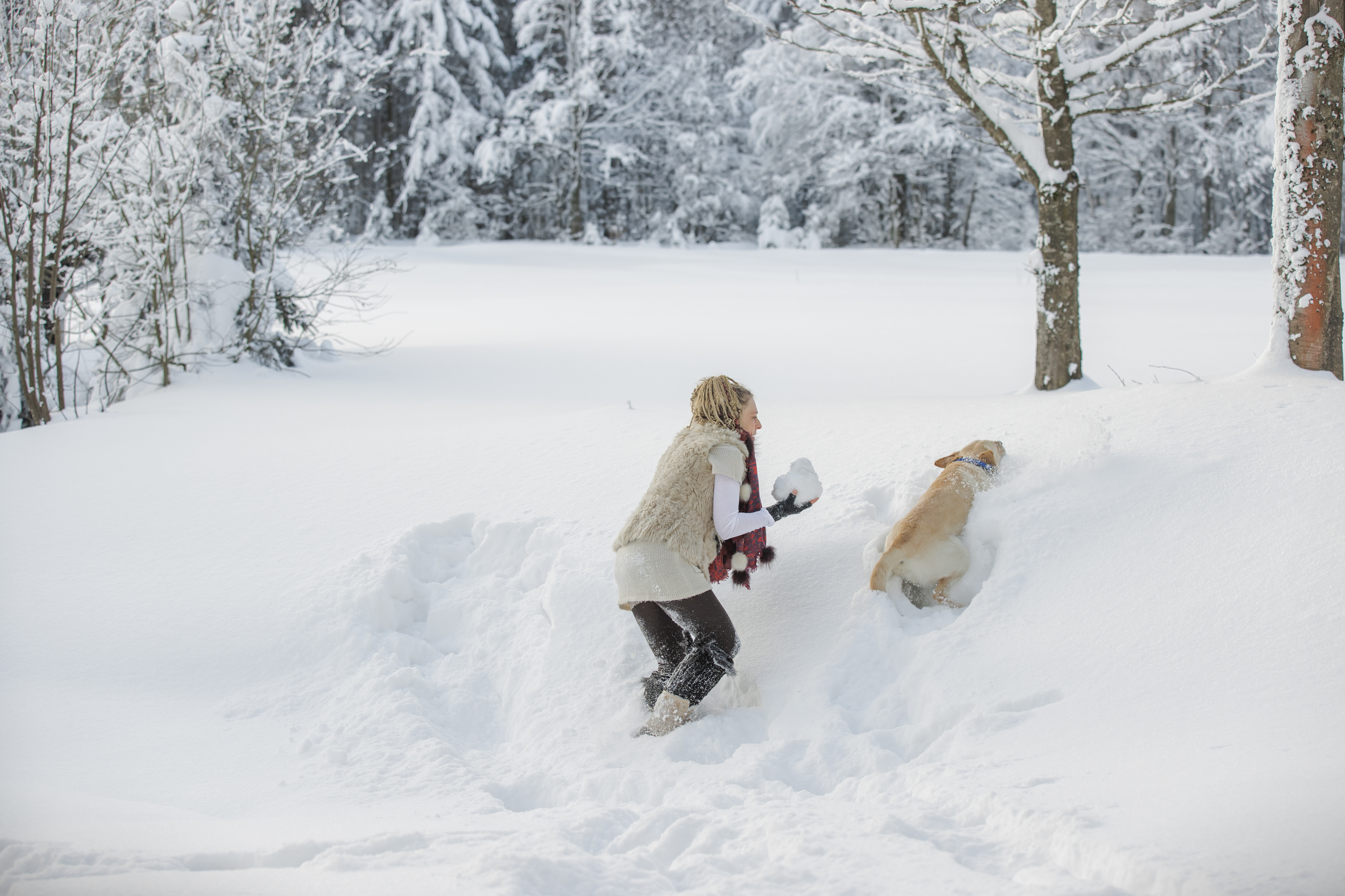 Bild zum Artikel: Winterspaß mit Hund und Frauchen
