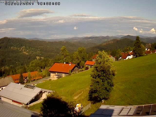 Livecam am Nationalpark Bayerischer Wald